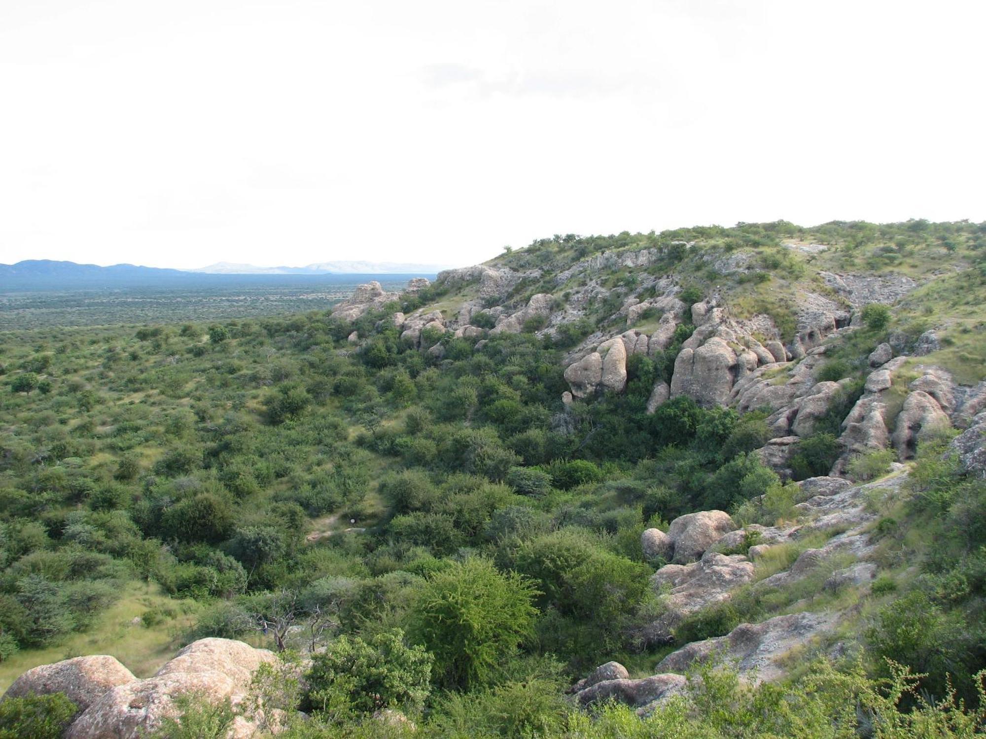 Sasa Safari Camp & Tours Villa Outjo Luaran gambar