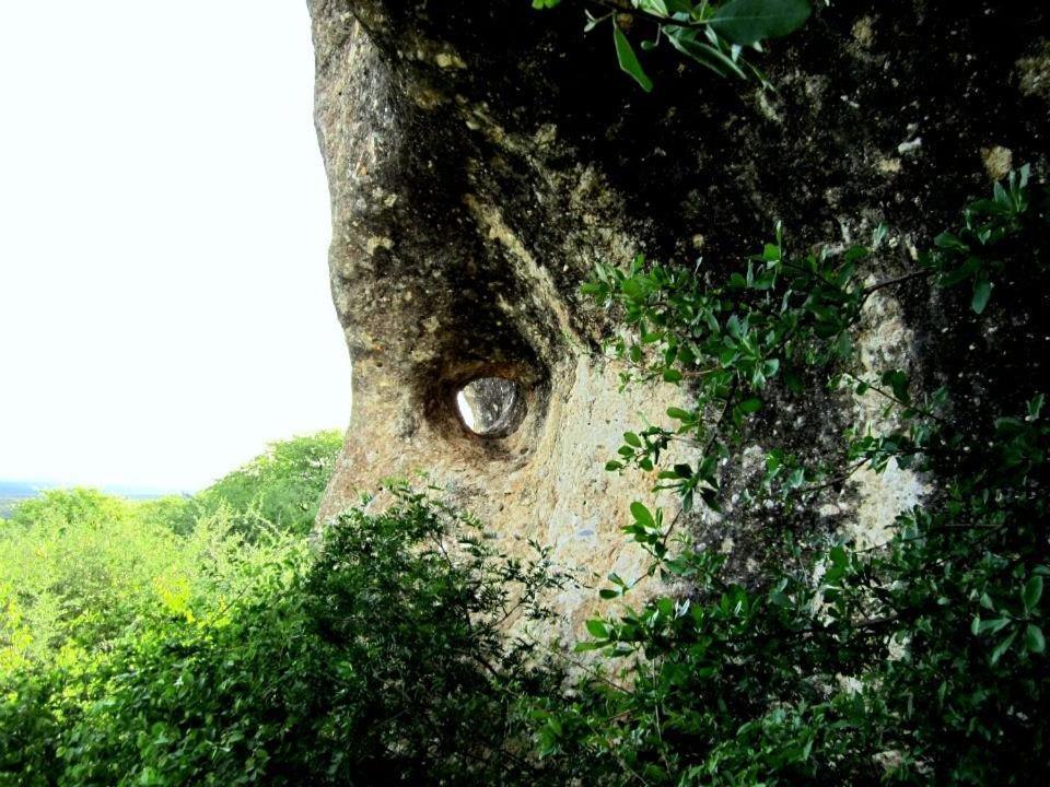 Sasa Safari Camp & Tours Villa Outjo Luaran gambar